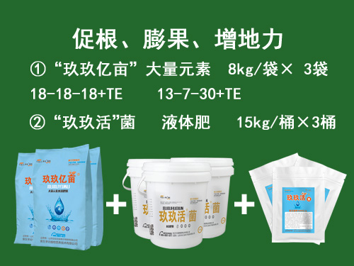 玖玖億畝套餐系列一膨果型