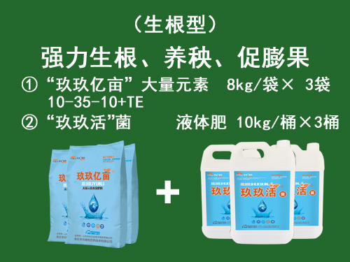 玖玖億畝套餐系列五生根型