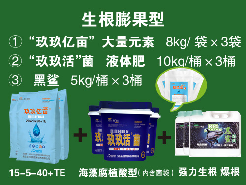 玖玖億畝套餐系列一生根膨果型