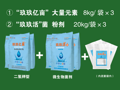 玖玖億畝套餐系列四