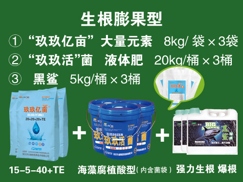 玖玖億畝套餐系列二生根膨果型